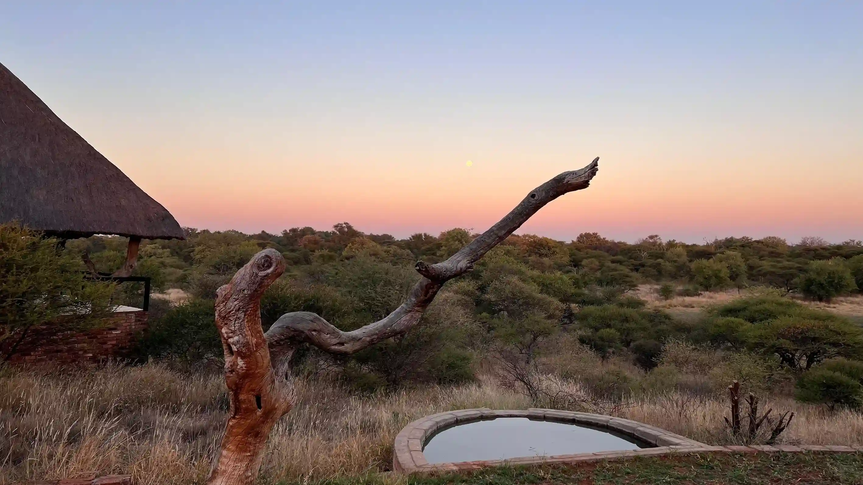 ntorno natural del lodge al atardecer, con edificios de estilo africano rodeados de naturaleza y total tranquilidad.